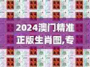 2024澳门精准正版生肖图,专家解答解释定义_WP版8.783