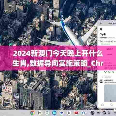 2024新澳门今天晚上开什么生肖,数据导向实施策略_ChromeOS5.910