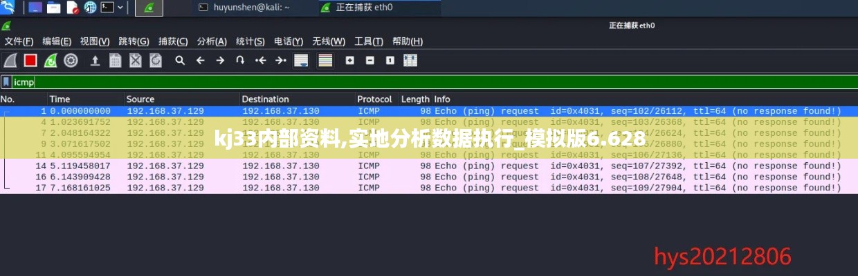 kj33内部资料,实地分析数据执行_模拟版6.628