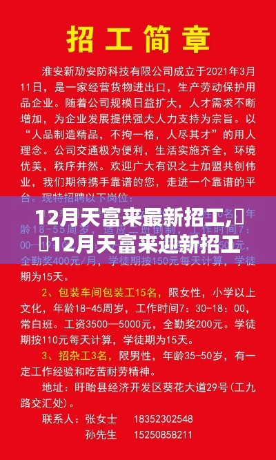 12月天富来迎新心灵之旅，寻找内心的宁静与平和