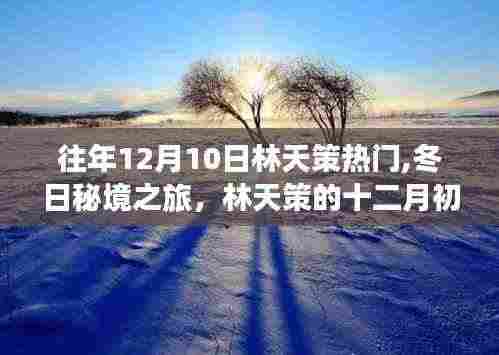 林天策的奇迹，冬日秘境之旅的十二月初热潮