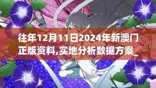 往年12月11日2024年新澳门正版资料,实地分析数据方案_桌面版3.712
