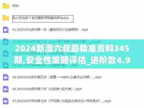 2024新澳六叔最精准资料345期,安全性策略评估_进阶款4.979