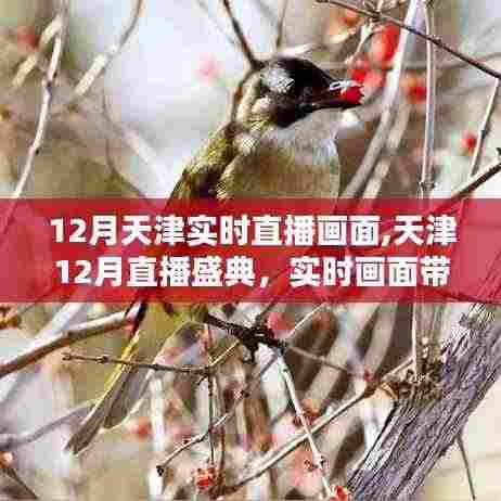 天津直播盛典，实时画面展现冬日风情