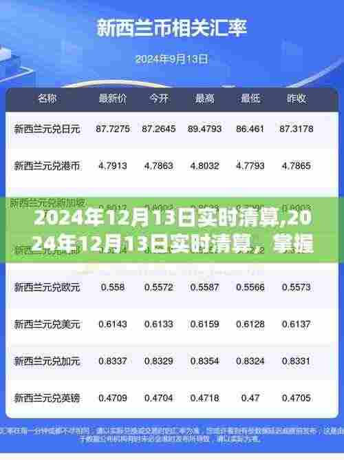 掌握金融动态，2024年12月13日实时清算流程详解