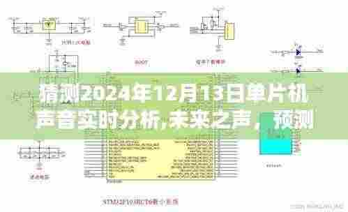 2024年单片机声音实时分析技术革新与前景展望