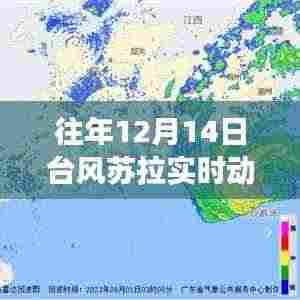 揭秘台风苏拉下的佛山小巷美食传奇，风雨中的特色小店实时动态追踪。