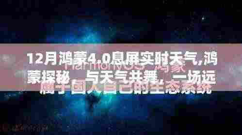 鸿蒙探秘，天气共舞的自然美景之旅，鸿蒙系统4.0 12月息屏实时天气体验