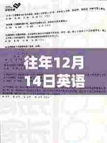 揭秘历年线上英语面试实时翻译题，掌握技巧，轻松应对面试挑战！
