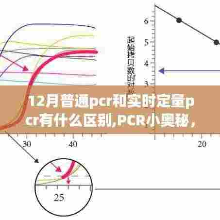 普通PCR与实时定量PCR的奇妙差异，揭秘PCR小奥秘的旅程
