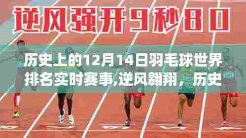 历史上的羽毛球巅峰对决，逆风翱翔背后的故事，回顾十二月十四日世界排名实时赛事