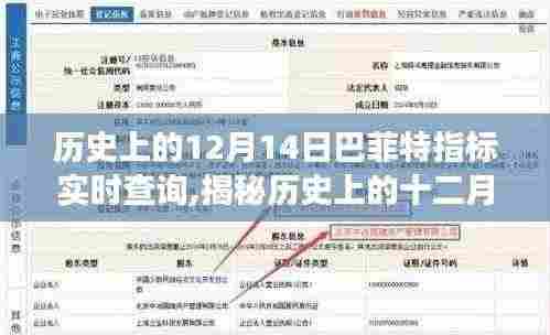 揭秘巴菲特指标的实时查询之旅，历史上的十二月十四日回顾