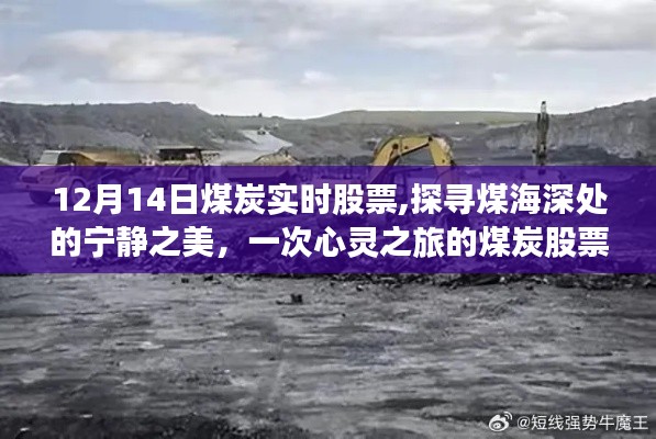 探寻煤海深处的宁静之美，煤炭股票的心灵之旅（实时行情分析）