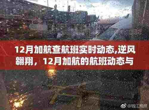 12月加航航班实时动态，逆风翱翔，学习成长铸就自信成就的天空