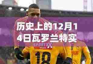 历史上的12月14日瓦罗兰特实时商店详解，入门指南与操作教程