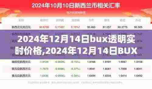 探索数字货币市场最新动态，2024年12月14日BUX透明实时价格解析