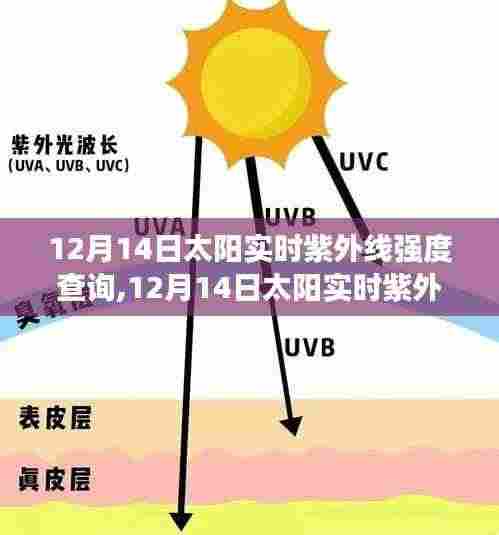 12月14日太阳实时紫外线强度查询，产品评测及实时数据解析