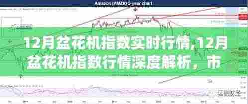 12月盆花机指数深度解析，实时行情、市场脉络与未来展望