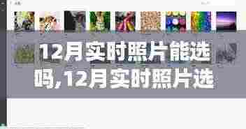 12月实时照片选择指南，如何捕捉最佳瞬间并精选照片
