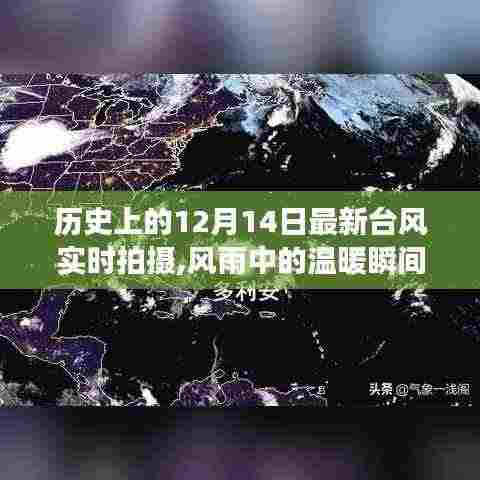 临危不惧 第4页