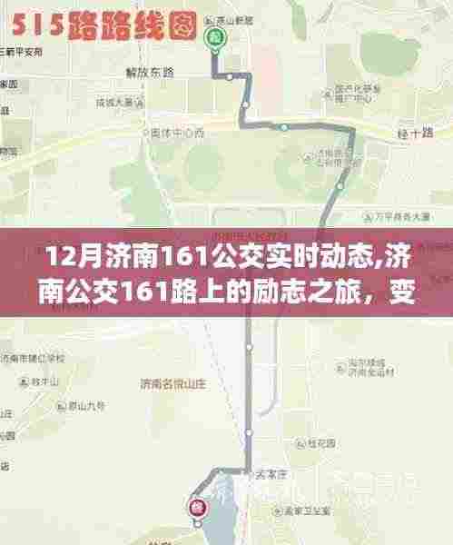济南公交161路上的励志之旅，变化、学习与自信的力量，实时动态追踪报道