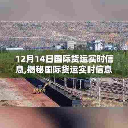 12月14日国际货运实时解析，全球物流动态揭秘与洞悉之路