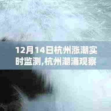 揭秘杭州潮涌背后的故事，十二月十四日涨潮实时监测观察报告