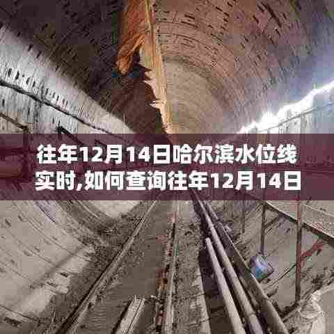 亭亭玉立 第5页