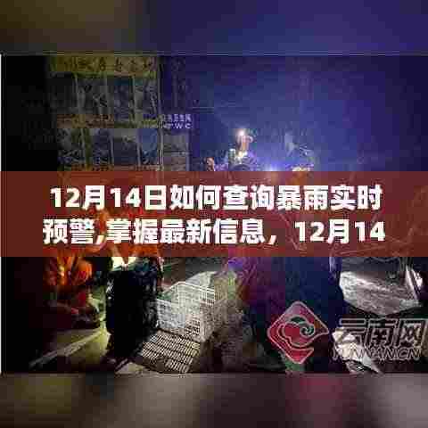 12月14日暴雨实时预警查询攻略，掌握最新信息，安全度过雨季