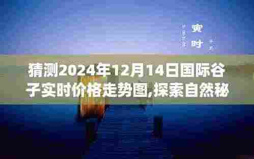 探索自然秘境，预见谷子未来，心灵之旅与谷价走势图展望（2024年12月）