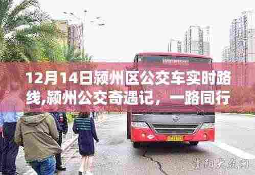 颍州公交奇遇记，冬日同行，公交路线的温暖时光 12月14日实时更新