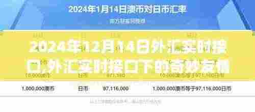 外汇实时接口下的友情故事，温馨时光在2024年12月14日