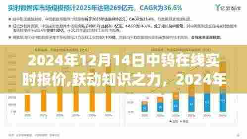跃动知识之力，揭秘中钨在线实时报价背后的励志故事