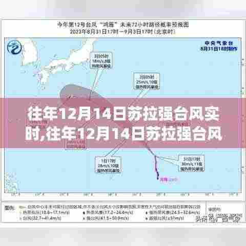 往年12月14日苏拉强台风实时，影响与应对策略分析