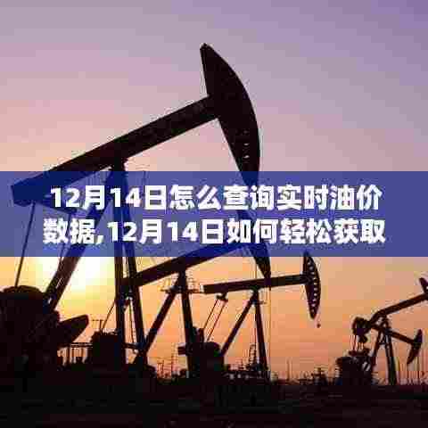 12月14日实时油价数据查询指南，轻松获取最新油价信息