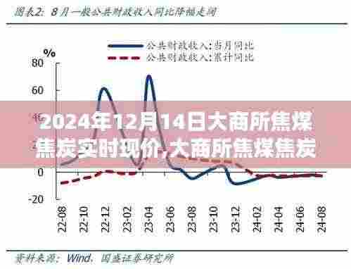 大商所焦煤焦炭实时现价动态，行业焦点聚焦下的市场走势（2024年12月14日）