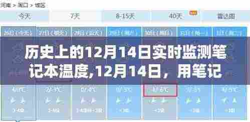 12月14日，笔记本下的自然温度与心灵绿洲之旅