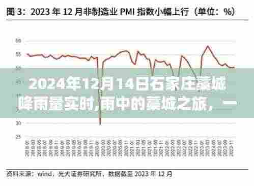 雨中探秘藁城，自然静谧之旅（2024年12月14日石家庄藁城降雨量实时报道）