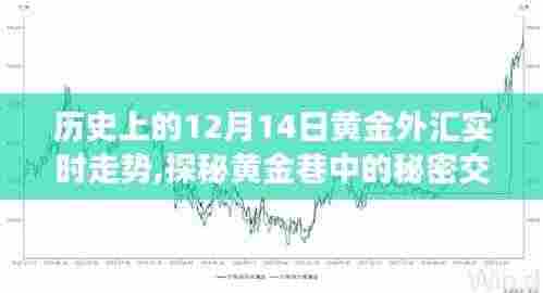 探秘黄金巷，历史上的黄金外汇走势与特色小店独特魅力揭秘的实时走势分析