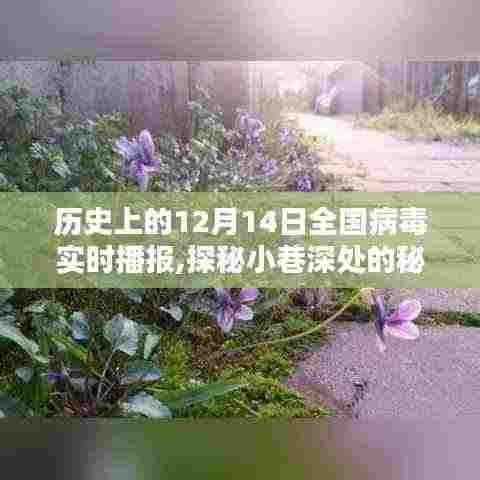 探秘历史十二月十四日全国病毒播报与独特小店的奇缘日