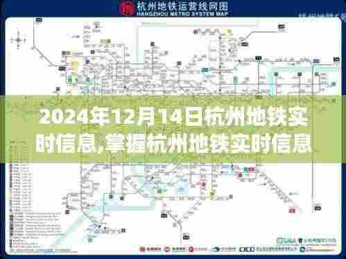 空谷幽兰 第4页