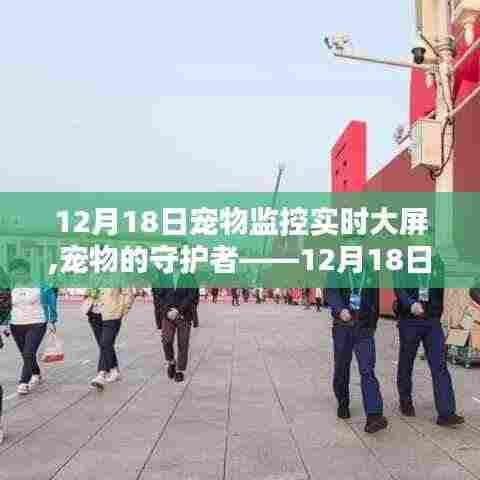 宠物监控实时大屏深度评测与介绍，守护宠物的守护者