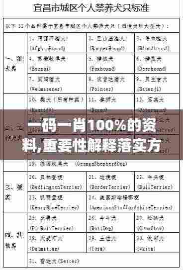 一码一肖100%的资料,重要性解释落实方法_豪华版5.398