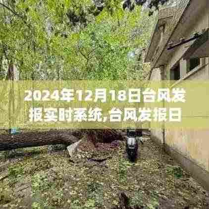 台风发报实时系统与风的奇妙约会，探索自然美景之旅（2024年12月18日）