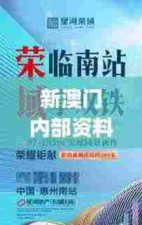 新澳门内部资料精准大全,诠释说明解析_粉丝款10.237