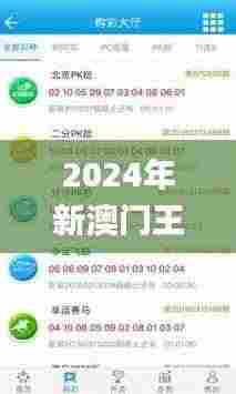 2024年新澳门王中王开奖结果,高度协调策略执行_Prime3.913