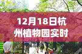 杭州植物园12月18日实时预约入园指南，轻松入园步骤详解