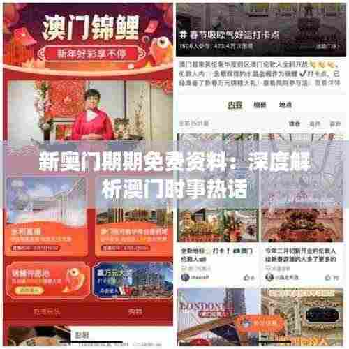 新奥门期期免费资料：深度解析澳门时事热话
