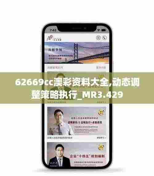 62669cc澳彩资料大全,动态调整策略执行_MR3.429