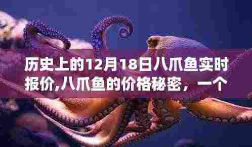 揭秘八爪鱼价格秘密，温馨十二月十八日故事与实时报价